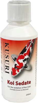 Kusuri Masuizai 50ml